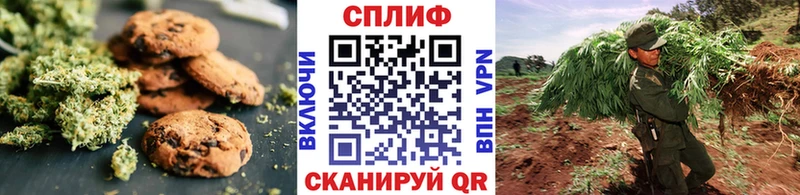 гидра   Рошаль  Cannafood конопля 