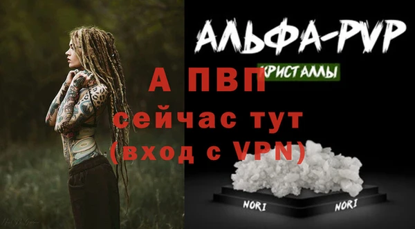скорость Арсеньев