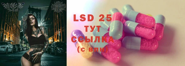 винт Аркадак