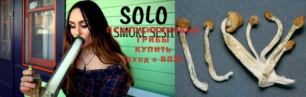 винт Аркадак