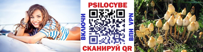 Галлюциногенные грибы прущие грибы  Рошаль 