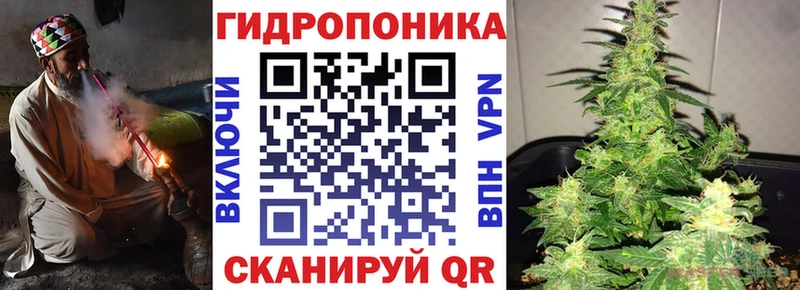 Каннабис SATIVA & INDICA  купить наркотик  даркнет наркотические препараты  Рошаль 